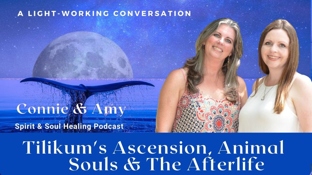 54. Tilikum’s Ascension, Animal Souls & The Afterlife + Elementals, Fairies, Angels & Spirit Guides – A Lightworker’s Conversation with Connie Parker